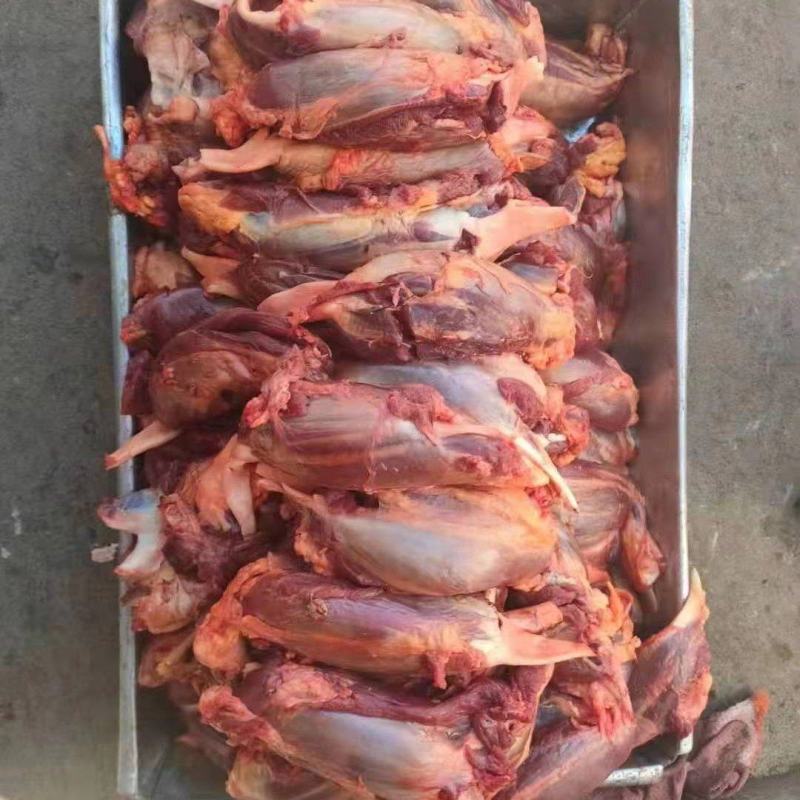 牦牛肉