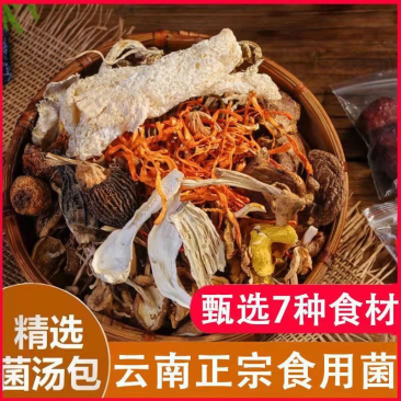 云南七彩菌汤包批发，一手货源，一件代发，量大价优
