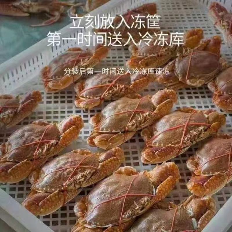 东山海鲜扁蟹速冻，原汁原味。