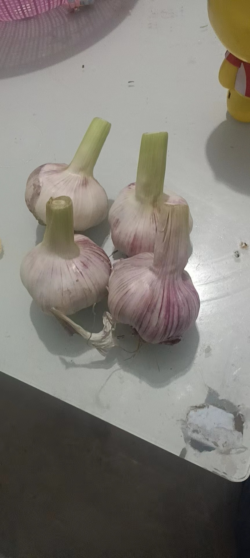 河南大蒜，今年的鲜蒜特大老大老大了很饱满