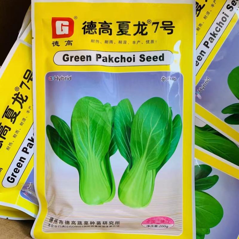 德高夏龙7号青梗菜七号种子耐热青梗菜耐热青菜抗病耐雨