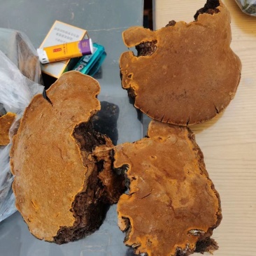 需要的老板联系