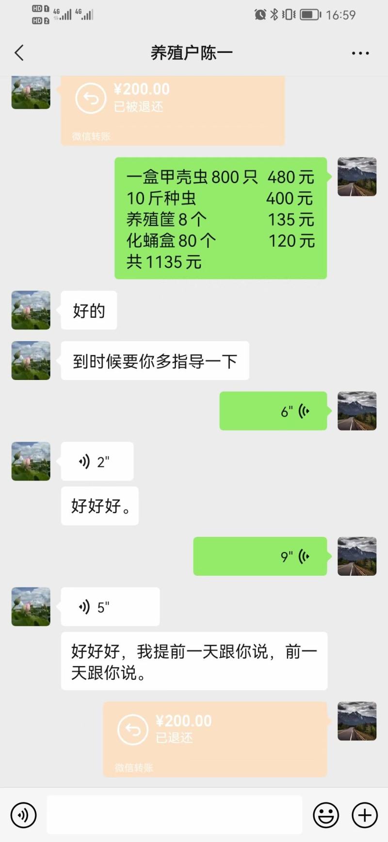 甲壳虫产卵
