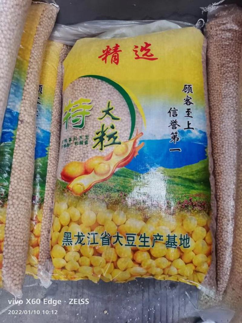 黄豆大量批发东北大粒黄豆豆腐豆浆豆制品食品原料