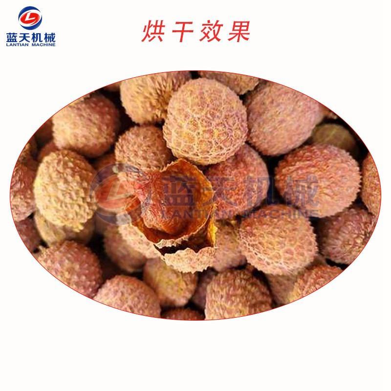 荔枝烘干机多功能桂圆龙眼烘干箱荔枝肉果脯干燥设备小型