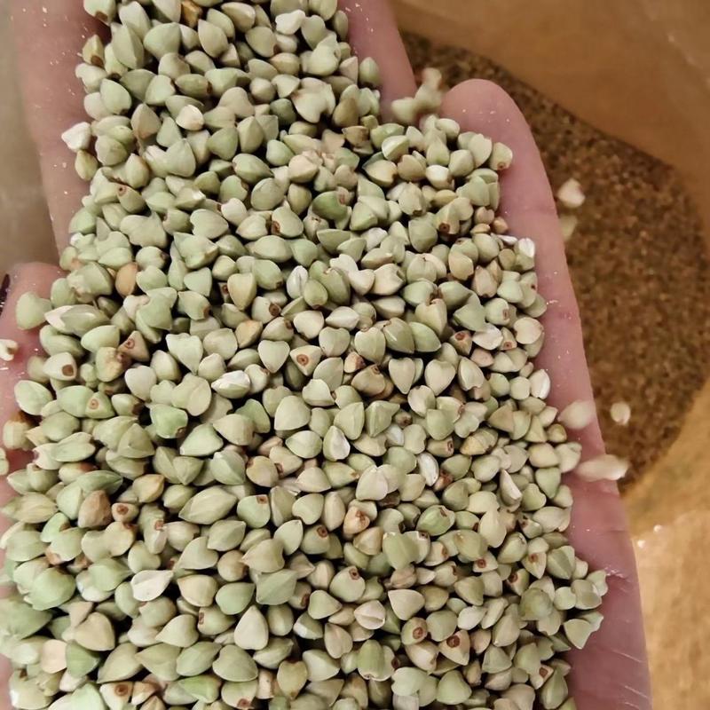 荞麦米大量批发荞麦米荞麦仁三角米五谷杂粮袋装49斤