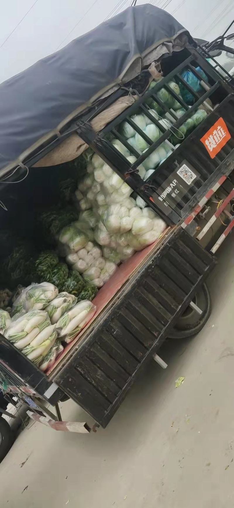 各种蔬菜。需要的与我联系
