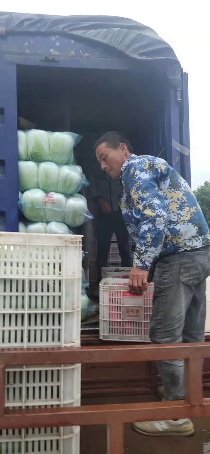 各种蔬菜。需要的与我联系