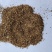 当归沫子批发诚信经营支持混批量大从优