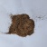 当归沫子批发诚信经营支持混批量大从优