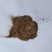 当归沫子批发诚信经营支持混批量大从优
