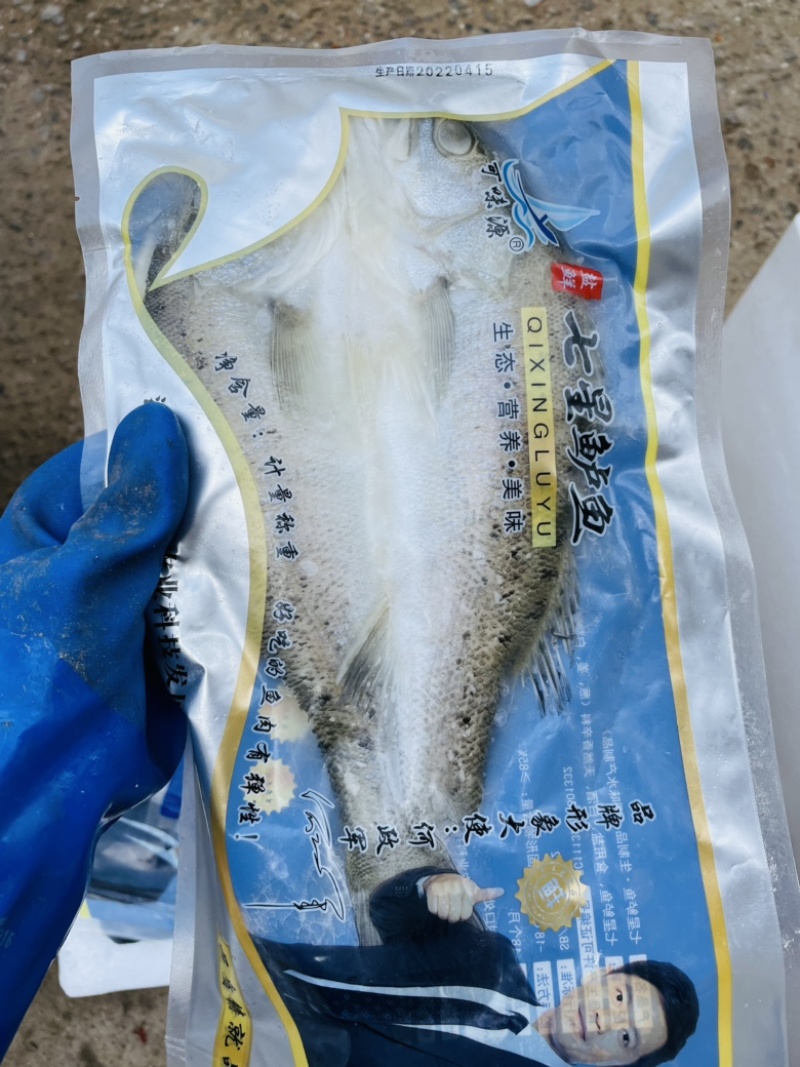海鲈鱼去内脏清蒸锡纸鲈鱼质量保障一手货源视频看货等您来电