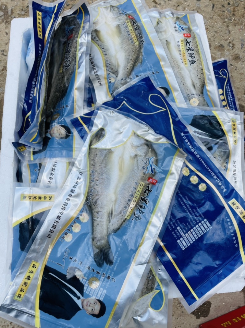海鲈鱼去内脏清蒸锡纸鲈鱼质量保障一手货源视频看货等您来电