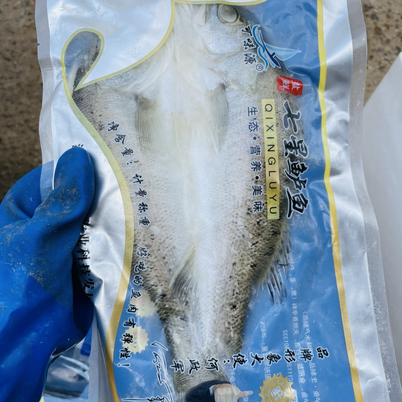 海鲈鱼去内脏清蒸锡纸鲈鱼质量保障一手货源视频看货等您来电
