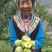 贵州脱核青脆李