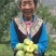 贵州脱核青脆李
