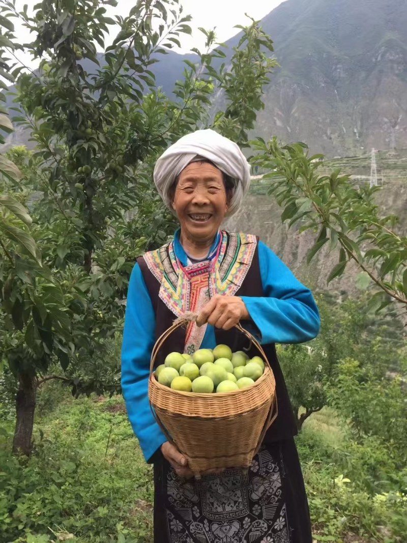 贵州脱核青脆李