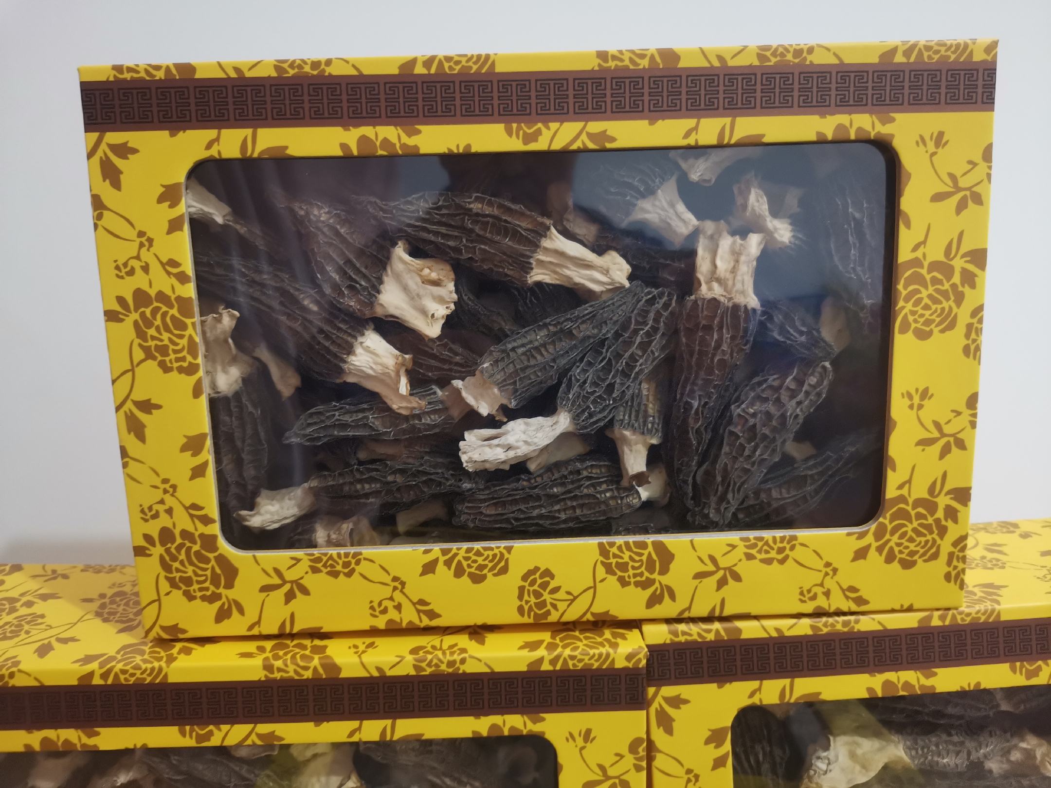 变黄的羊肚菌对比图