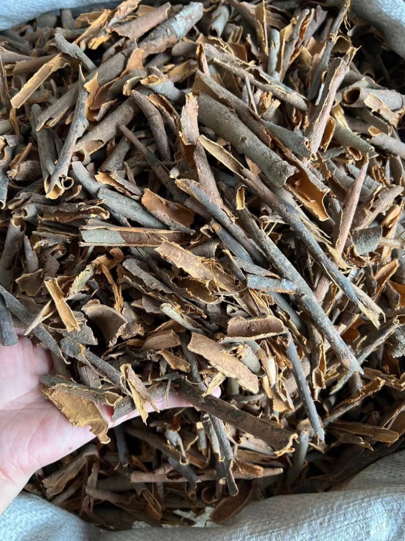 【广西桂皮】桂皮碎桂皮段桂通油桂产地发货
