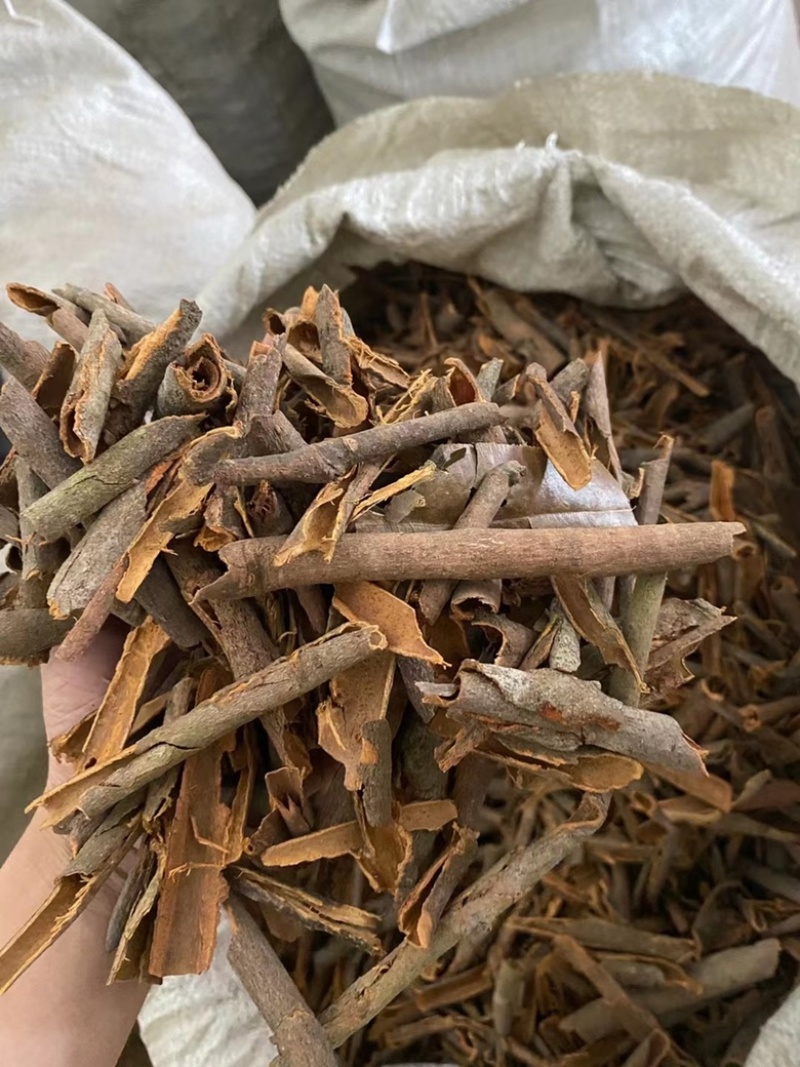 【广西桂皮】桂皮碎桂皮段桂通油桂产地发货