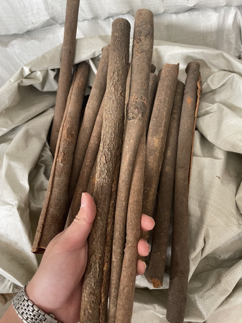 【广西桂皮】防城桂皮水洗通中通小通产地发货一手货源