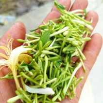 无硫野生金银花