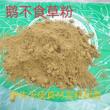 鹅不食草粉中药材正品野生鹅不食草本店另售苍耳子粉辛荑花粉