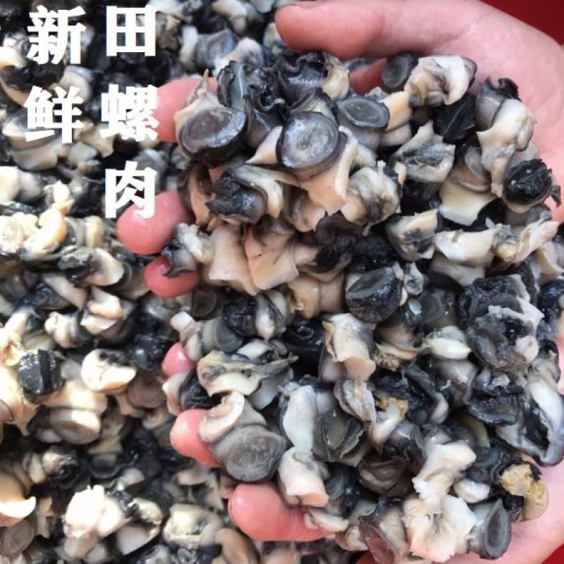 【产地销】螺蛳肉田螺肉大量货源支持一件代发包邮