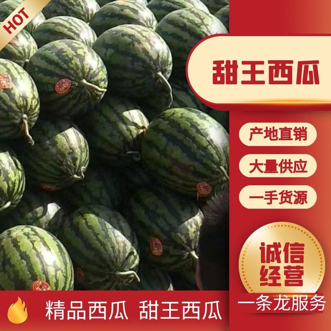 [甜王西瓜批发]陕西渭南蒲城县西瓜 0.20元/斤陕西蒲城吊篮西 _ 一亩田