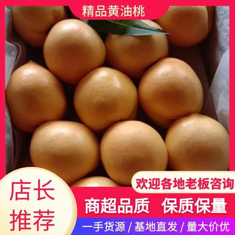辽南中油四大黄桃口感脆甜皮毛亮甜蜜多汁个头大保证质量