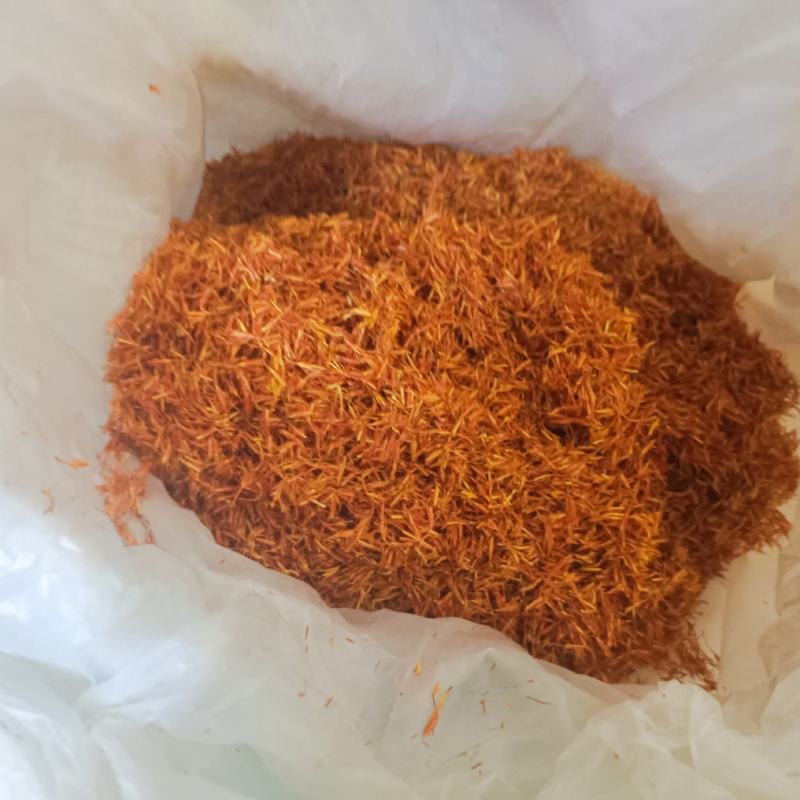 新疆红花
