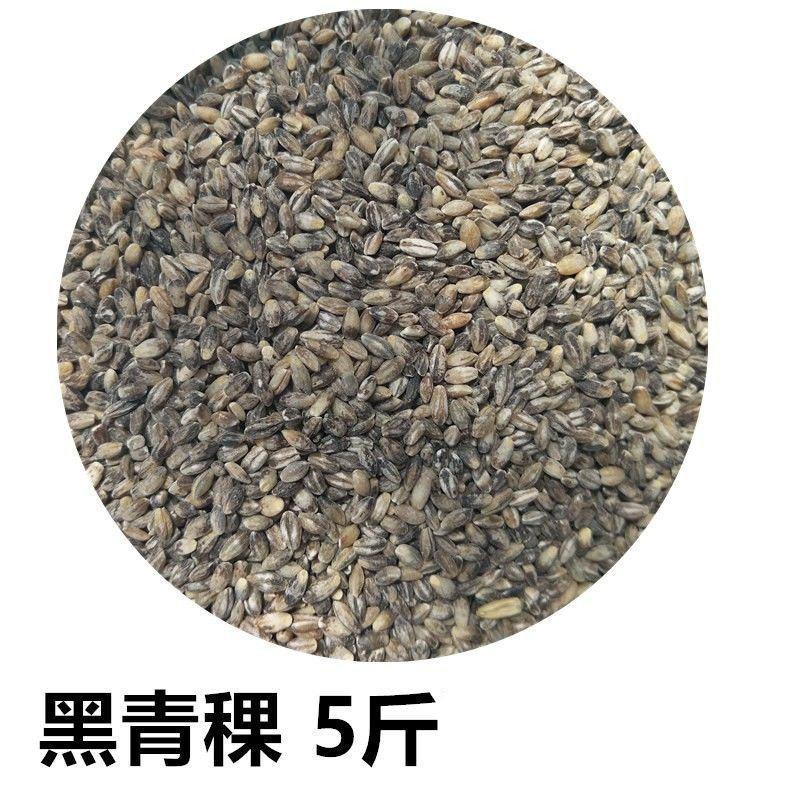 白青稞米蓝青稞米精选优质青藏高原黑青稞米甜醅原料