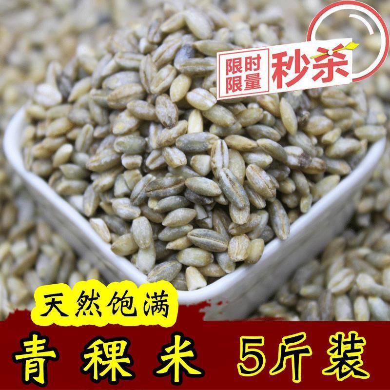 白青稞米蓝青稞米精选优质青藏高原黑青稞米甜醅原料