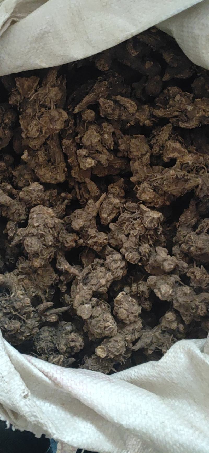伏牛野生苍术无杂质苍术精选苍术干货无硫苍术干货中药材
