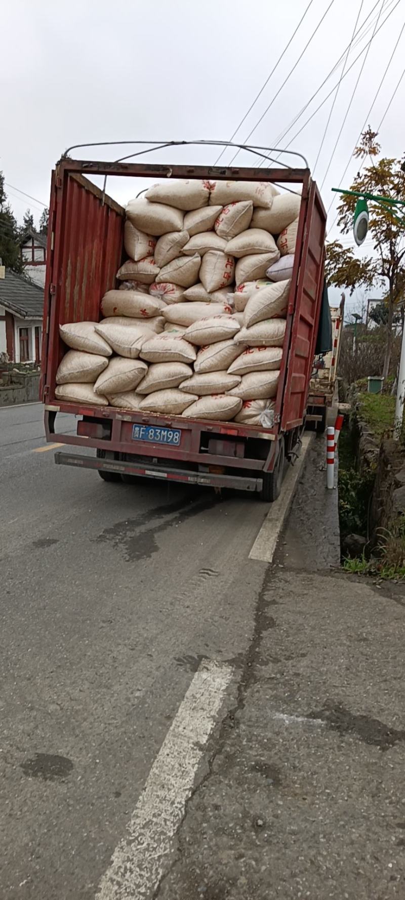 大量批发玉米面