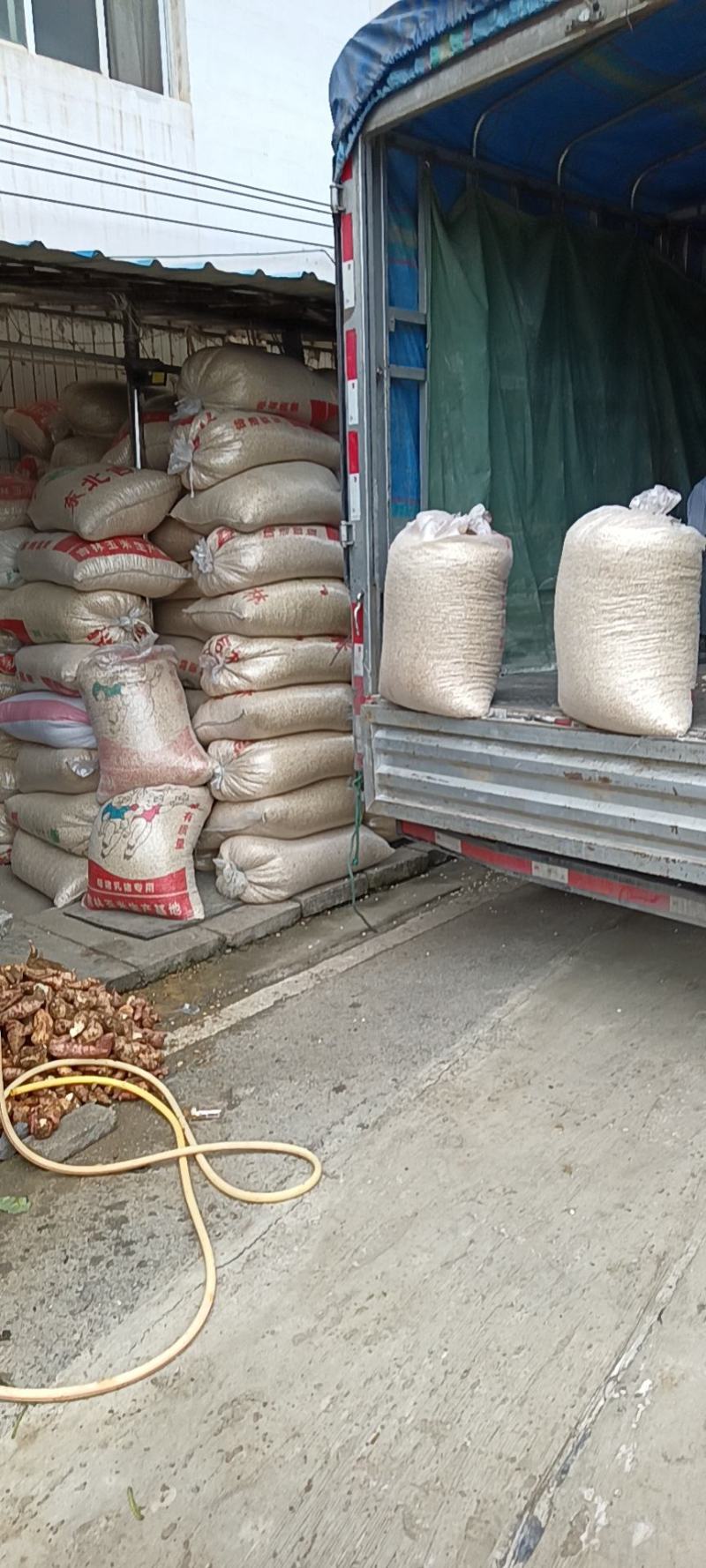 大量批发玉米面