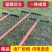 农用翻土松土耙子平地铁耙子九齿钉耙搂草搂地开荒工具园艺钢