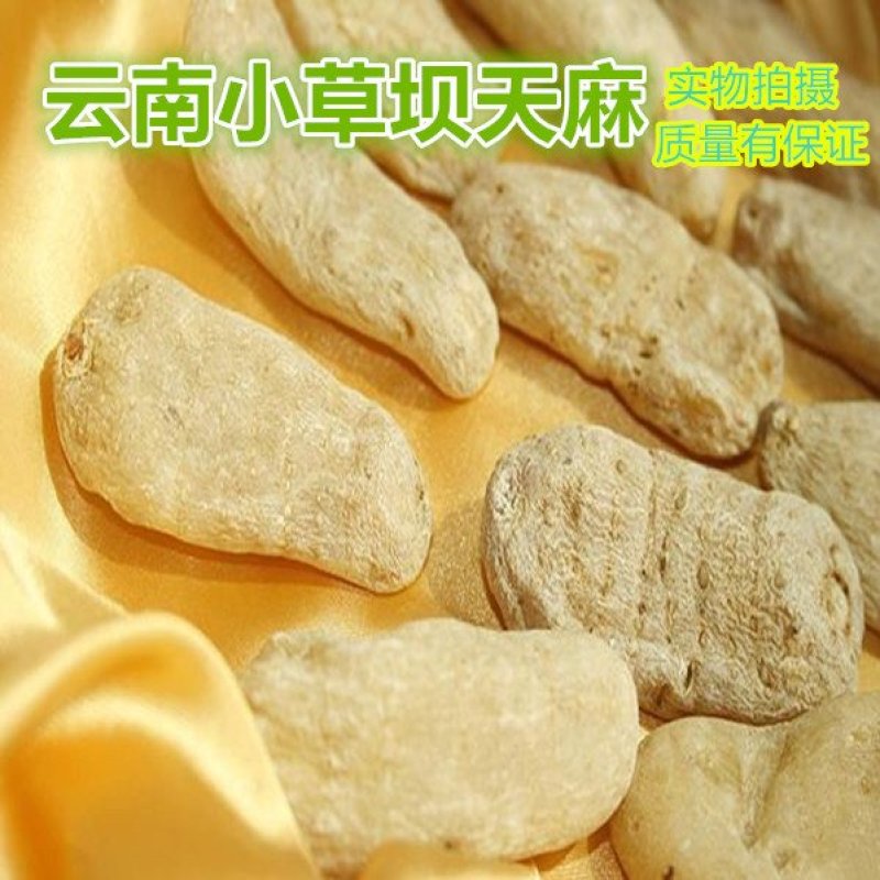 彝良县昭通小草坝乌天麻