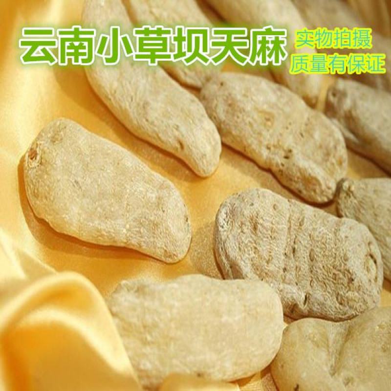 彝良县昭通小草坝乌天麻