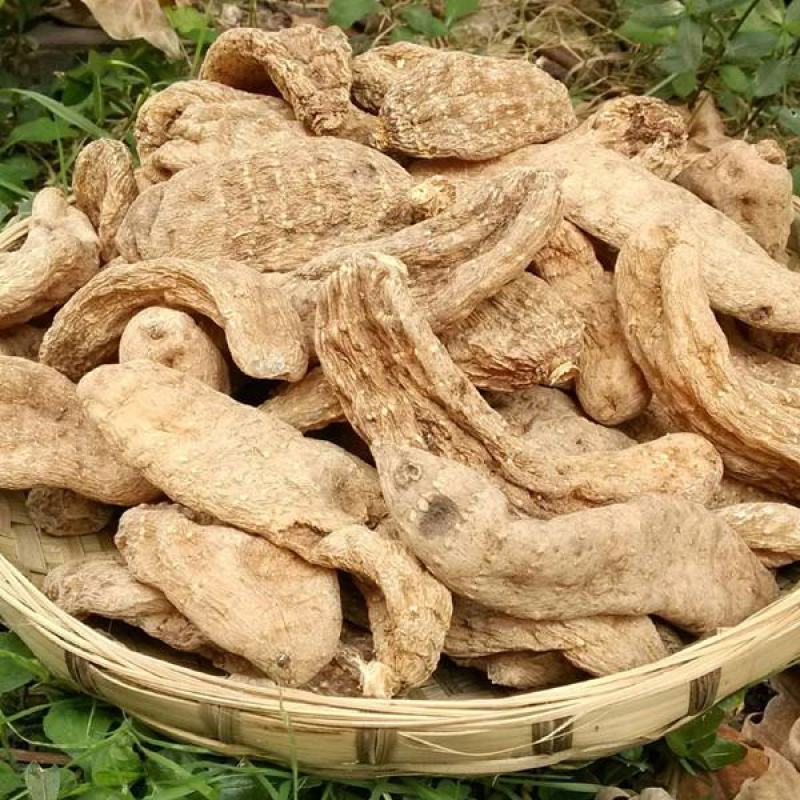 彝良县昭通小草坝乌天麻