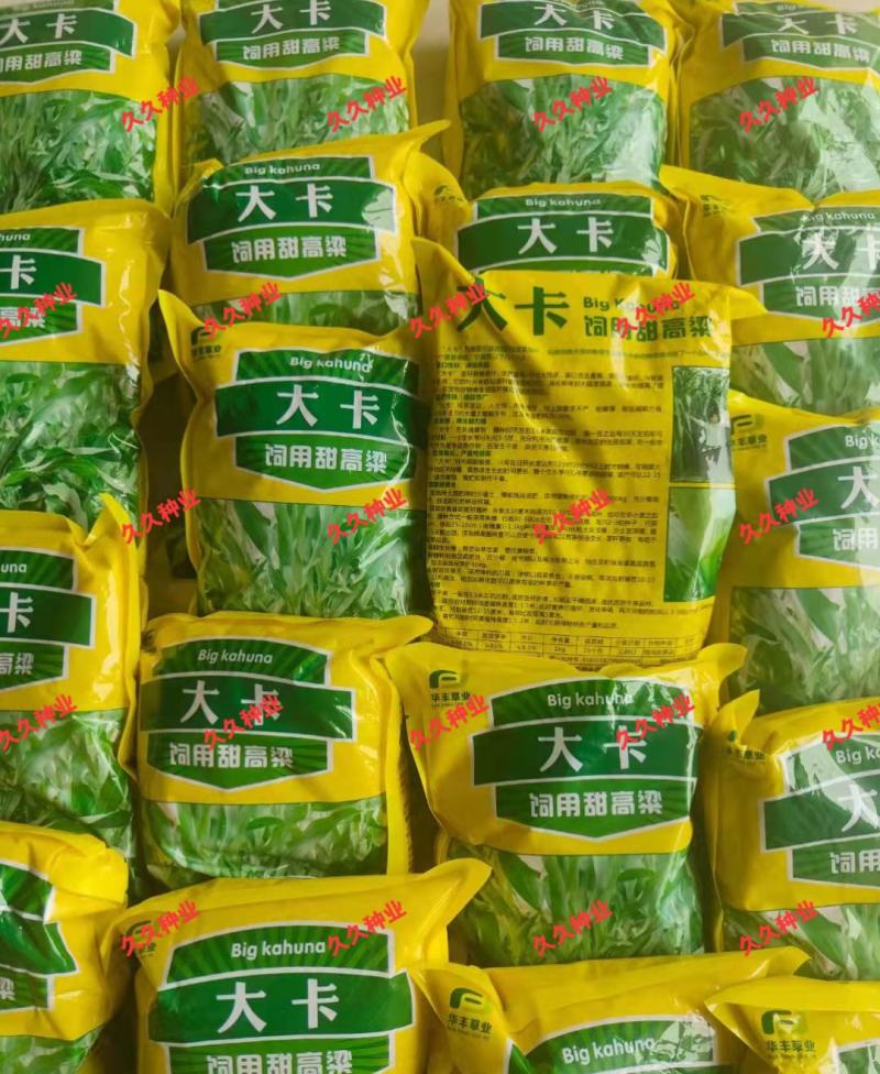 大力士甜高梁一年生饲用甜高粱种子高产耐旱进口养牛羊牧草种