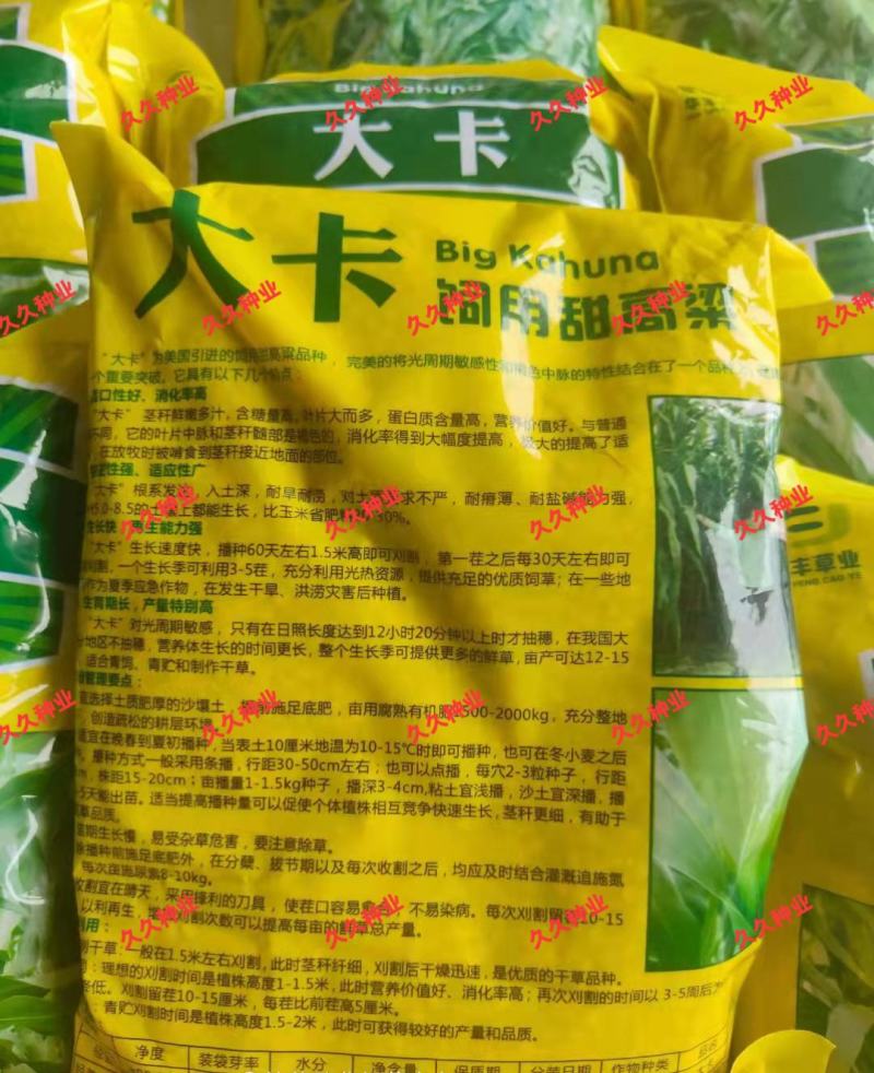 大力士甜高梁一年生饲用甜高粱种子高产耐旱进口养牛羊牧草种