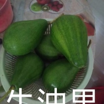 水果界的战斗机，营养价值极高