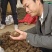 彝良县昭通小草坝乌天麻