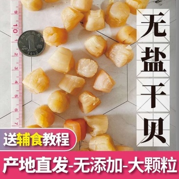小岞新货干贝无盐淡干宝宝婴儿元贝大瑶柱特产无添加送辅食谱