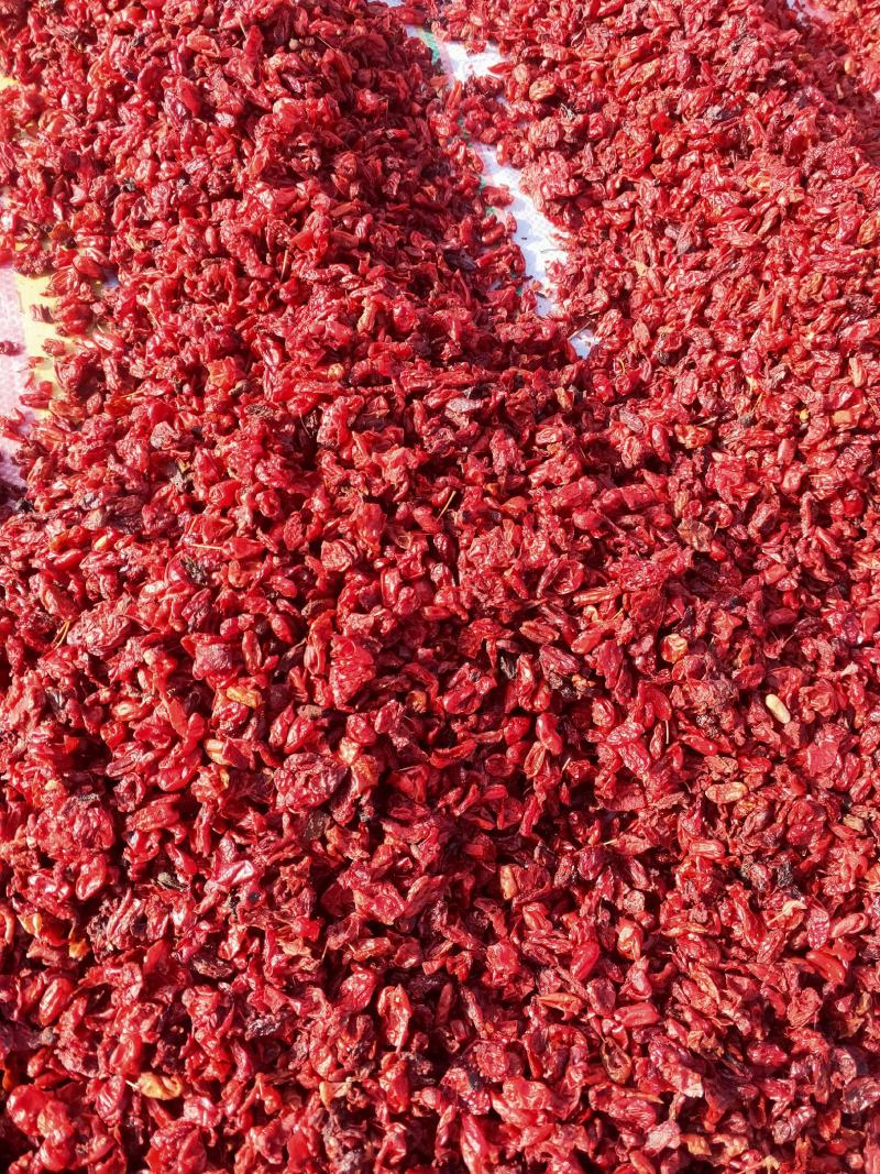 伏牛野生山茱萸无核山茱萸肉精选茱萸干无硫枣皮干中药材