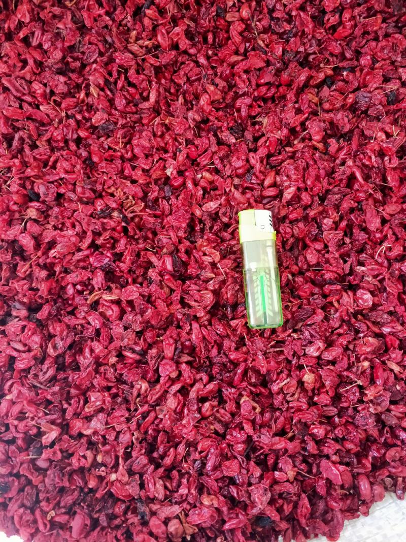 伏牛野生山茱萸无核山茱萸肉精选茱萸干无硫枣皮干中药材