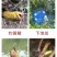 蚯蚓，广地龙