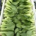 精品上海青山东油菜山东上海青地头现装价格便宜