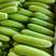 【精选】优质绿皮西葫芦大量供应中，产地直发，价格便宜